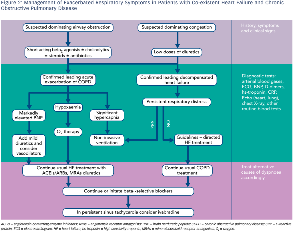 challenges-of-treating-acute-heart-failure-in-patients-with-chronic